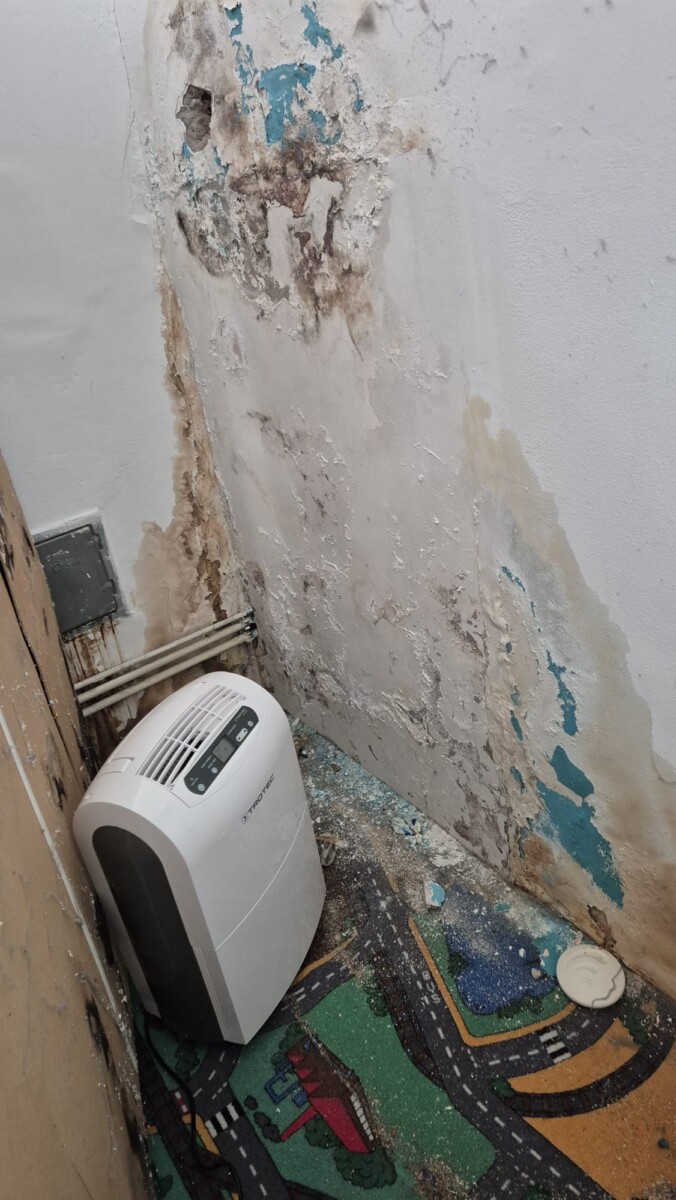 Profesionalni isušivač vlage